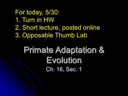 Primate Adaptation & Evolution Ch. 16, Sec. 1 For today, 5/30: 1. Turn in HW 2. Short lecture, posted online 3. Opposable Thumb Lab.
