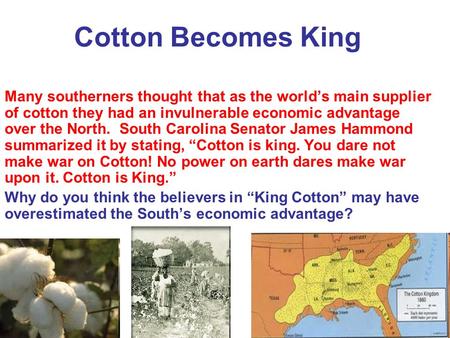 Cotton Becomes King Many southerners thought that as the world’s main supplier of cotton they had an invulnerable economic advantage over the North. South.