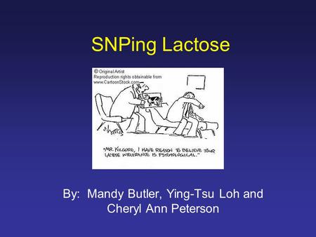SNPing Lactose By: Mandy Butler, Ying-Tsu Loh and Cheryl Ann Peterson.