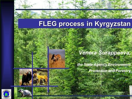 1 Venera Surappaeva, the State Agency Environment Protection and Forestry FLEG process in Kyrgyzstan.