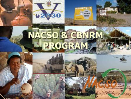 NACSO & CBNRM PROGRAM. NACSO & CBNRM By Maxi Pia Louis.