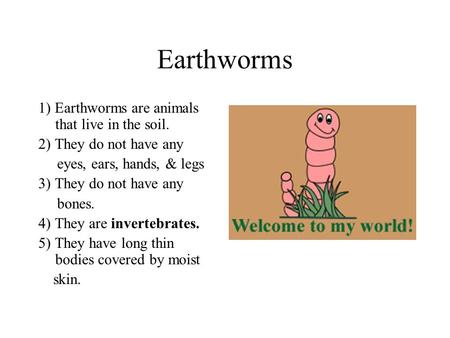 Earthworms 1) Earthworms are animals that live in the soil. 2) They do not have any eyes, ears, hands, & legs 3) They do not have any bones. 4) They are.