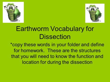 Earthworm Vocabulary for Dissection *copy these words in your folder and define for homework. These are the structures that you will need to know the function.