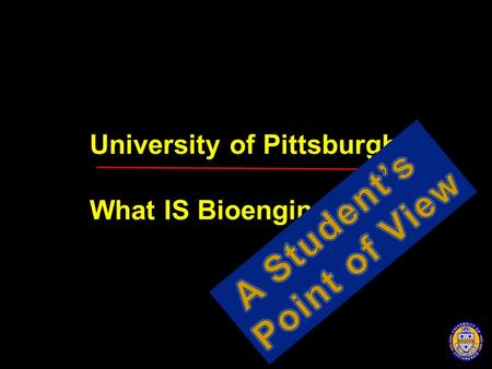 University of Pittsburgh What IS Bioengineering?.
