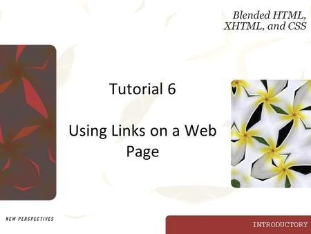 INTRODUCTORY Tutorial 6 Using Links on a Web Page.
