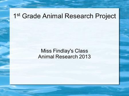 1 st Grade Animal Research Project Miss Findlay's Class Animal Research 2013.