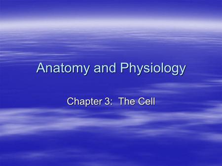 Anatomy and Physiology Chapter 3: The Cell. Cell Theory  Cells are the building blocks of all plants and animals.  Cells are produced by the division.