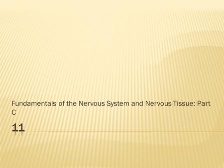 Fundamentals of the Nervous System and Nervous Tissue: Part C.