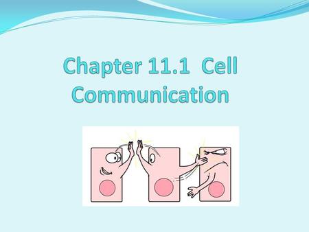 Cellular Internet Cell to cell communication is essential in order for organisms to coordinate activities that develop, survive and reproduce Cell communication.