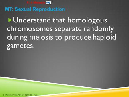 11-4 Meiosis  Understand that homologous chromosomes separate randomly during meiosis to produce haploid gametes. COPYRIGHT PEARSON PRENTICE HALL MT: