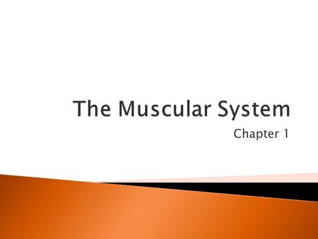 Chapter 1.  There are over 600 muscles in the human body which allow everyday movements  Without our muscles we would not be able to breathe, eat, walk.