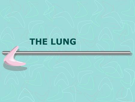 THE LUNG. The Lung  Embryology  Bronchial system  Alveolar system  Anatomy  Lobes  Fissures  Segments  Blood supply.