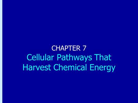 Chapter 7: Cellular Pathways That Harvest Chemical Energy CHAPTER 7 Cellular Pathways That Harvest Chemical Energy.