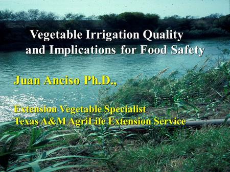 Vegetable Irrigation Quality and Implications for Food Safety Vegetable Irrigation Quality and Implications for Food Safety Juan Anciso Ph.D., Extension.