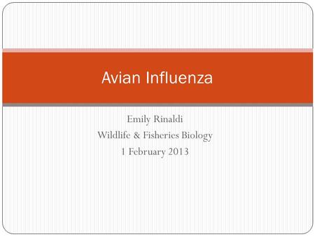 Emily Rinaldi Wildlife & Fisheries Biology 1 February 2013 Avian Influenza.