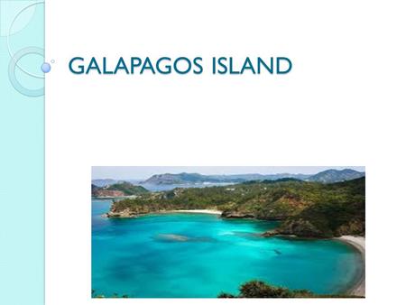 GALAPAGOS ISLAND. The Iguana Crossing hotel is one the best Hotels to stay at in the Island of the Galapagos. Right next to paradise, the Hotel is located.