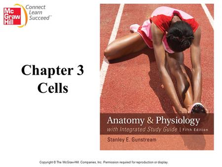 Copyright © The McGraw-Hill Companies, Inc. Permission required for reproduction or display. Chapter 3 Cells.