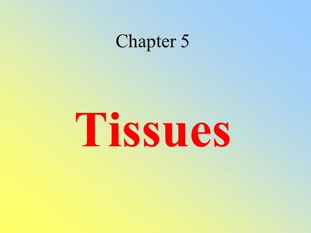 Chapter 5 Tissues.