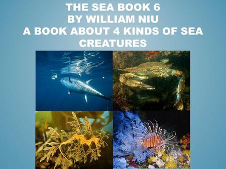 THE SEA BOOK 6 BY WILLIAM NIU A BOOK ABOUT 4 KINDS OF SEA CREATURES.