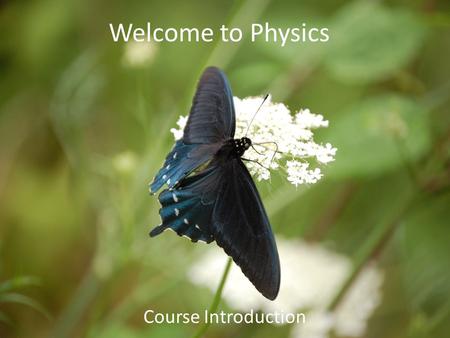 Welcome to Physics Course Introduction Introductions and Paperwork Teacher introduction Student Information Cards Website: pages.cms.k12.nc.us/janetraybon.
