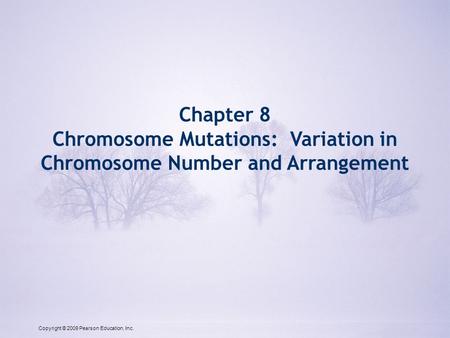 Copyright © 2009 Pearson Education, Inc. Chapter 8 Chromosome Mutations: Variation in Chromosome Number and Arrangement Copyright © 2009 Pearson Education,