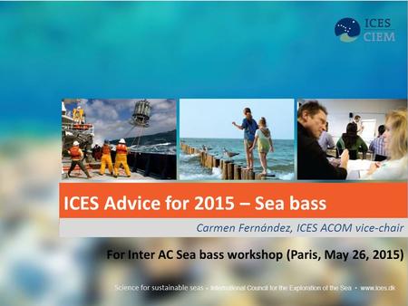 ICES Advice for 2015 – Sea bass Carmen Fernández, ICES ACOM vice-chair For Inter AC Sea bass workshop (Paris, May 26, 2015)