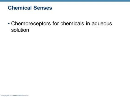 Copyright © 2010 Pearson Education, Inc. Chemical Senses Chemoreceptors for chemicals in aqueous solution.