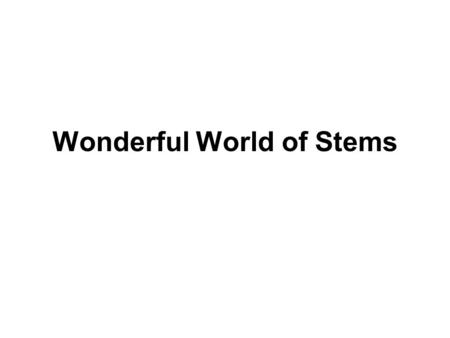 Wonderful World of Stems