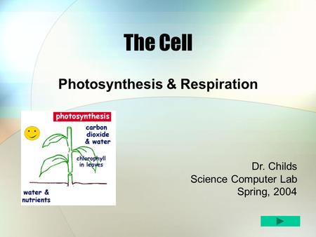 The Cell Photosynthesis & Respiration Dr. Childs Science Computer Lab Spring, 2004.