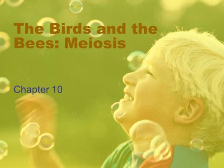 The Birds and the Bees: Meiosis Chapter 10. Meiosis exists for two major reasons: To divide the number of chromosomes To create genetic variability.