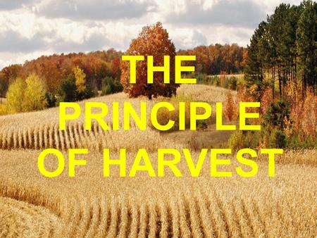 THE PRINCIPLE OF HARVEST