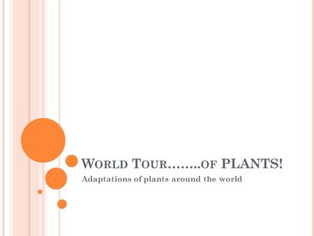 W ORLD T OUR …….. OF PLANTS! Adaptations of plants around the world.