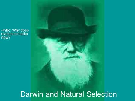 Darwin and Natural Selection Intro: Why does evolution matter now?  rg/wgbh/evolutio n/educators/tea chstuds/svideos.html