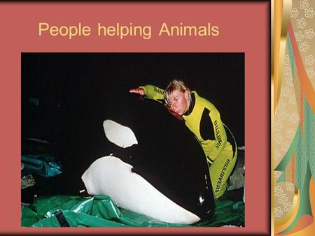 People helping Animals. Vocabulary Injury-Damage or harm done to a person or thing. Slurp- To drink or eat noisly.