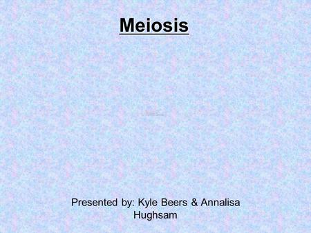 Meiosis Presented by: Kyle Beers & Annalisa Hughsam.