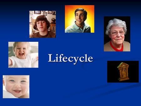 Lifecycle. Product lifecycle Development stage Lots of market research carried out Lots of market research carried out Research and development Research.