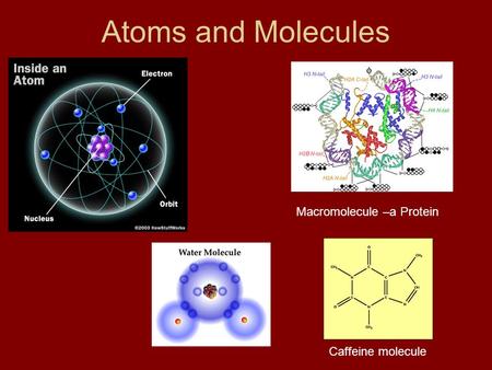Atoms and Molecules Caffeine molecule Macromolecule –a Protein.
