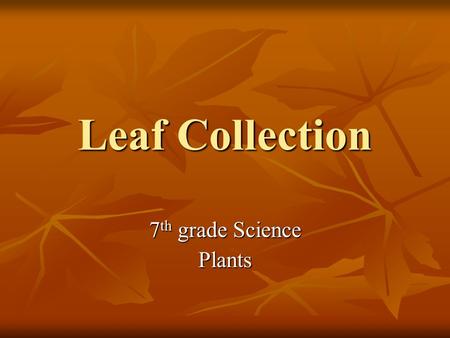 Leaf Collection 7 th grade Science Plants Objective Collect and identify Collect and identify different leaves of Mississippi different leaves of Mississippi.