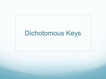 Dichotomous Keys. Introduction A dichotomous key is a tool that allows the user to determine the identity of items in the natural world, such as trees,
