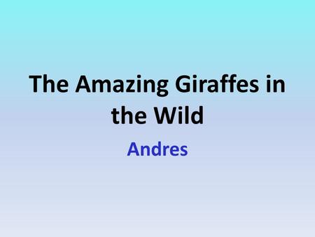 The Amazing Giraffes in the Wild Andres. Table Of Contents.
