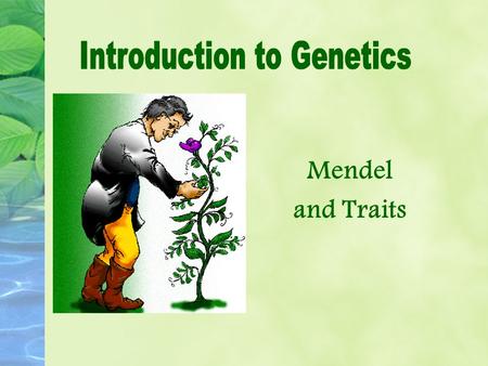 Mendel and Traits. Genetics is the study of heredity!
