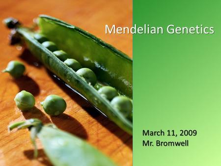 April 2008 Mendelian Genetics March 11, 2009 Mr. Bromwell.