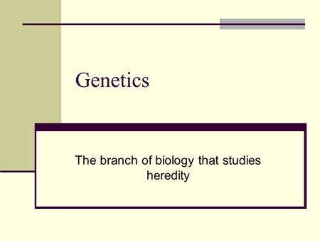 Genetics The branch of biology that studies heredity.
