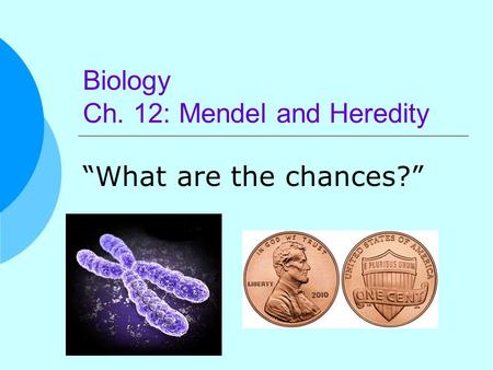 Biology Ch. 12: Mendel and Heredity “What are the chances?”