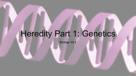 Heredity Part 1: Genetics