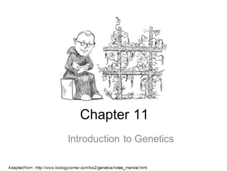 Chapter 11 Introduction to Genetics Adapted from :