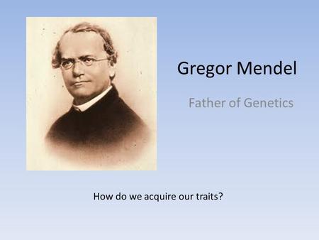 Gregor Mendel Father of Genetics How do we acquire our traits?
