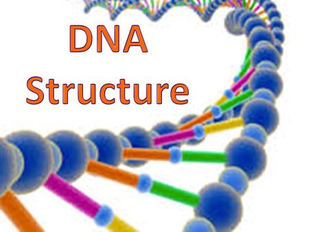 DNA Structure DNA consists of two molecules that are arranged into a ladder-like structure called a Double Helix. A molecule of DNA is made up of millions.