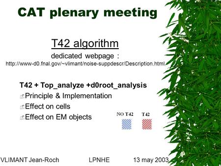 CAT plenary meeting VLIMANT Jean-RochLPNHE13 may 2003 T42 algorithm dedicated webpage :