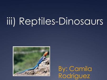 Iii) Reptiles-Dinosaurs By: Camila Rodriguez. Dinosaurs  Not the first reptile  Triassic period  Cretaceous period  Diapsid skull.